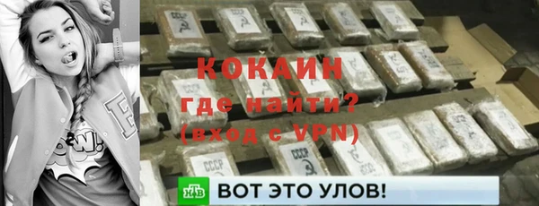 мдпв Богородицк