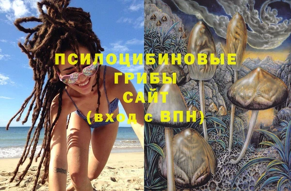 таблы Богданович