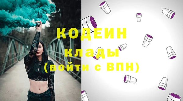 мдпв Богородицк