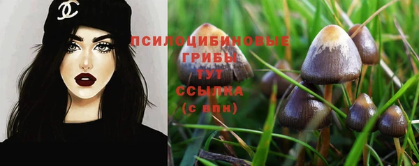 таблы Богданович