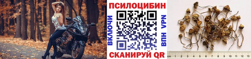 Псилоцибиновые грибы Cubensis  МЕГА   Давлеканово 